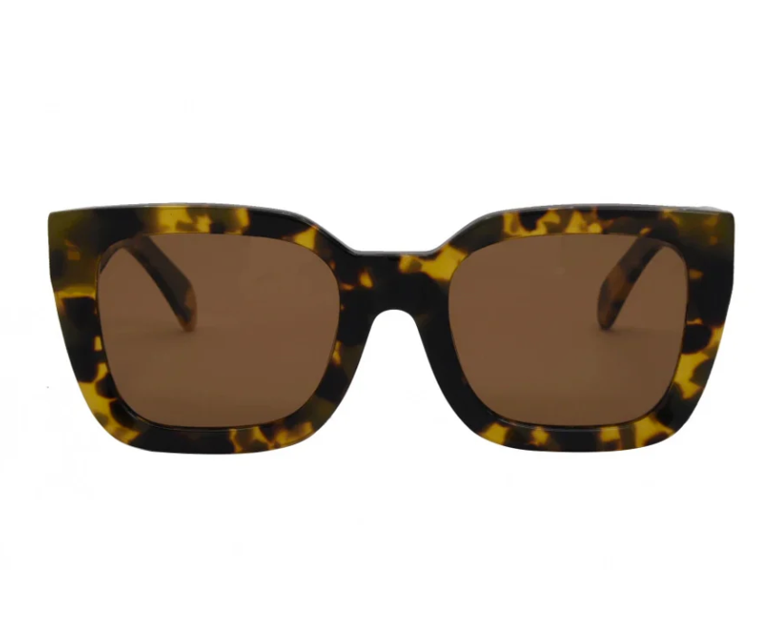 Alden Sunglasses