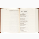Esv Large Print Journaling Bible: Sierra Theme
