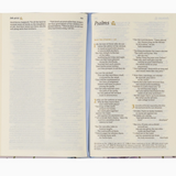 Hosanna Revival Nlt Compact Bible: Willow Theme