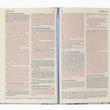 Hosanna Revival Nlt Compact Bible: Willow Theme