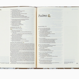 Hosanna Revival Nlt Notetaking Bible: Manila Theme
