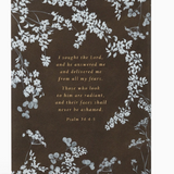 Hosanna Revival Notebook: Lijiang Theme